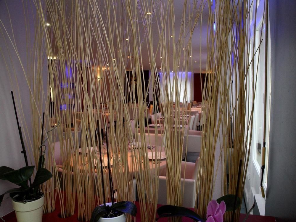 Logis Hotel Restaurant Le Castel Fleuri Saint-Jean-en-Royans Zewnętrze zdjęcie